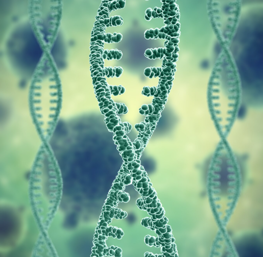 эпилепсия во сне у взрослых